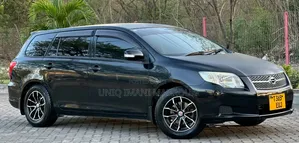 Toyota Corolla Fielder 2008 Black