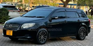 Toyota Corolla Fielder 2008 Black
