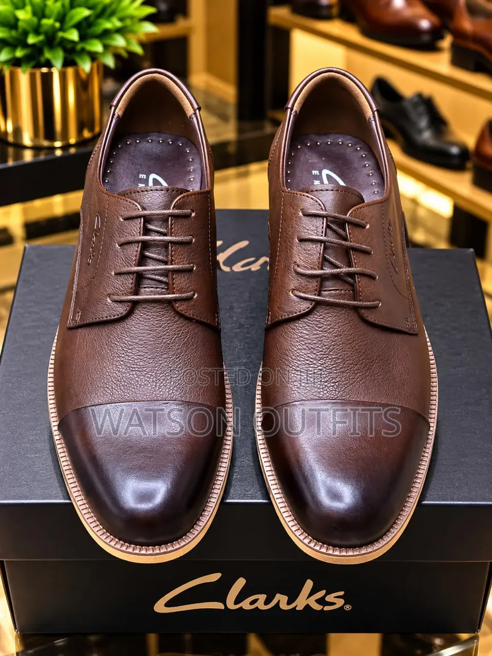 Clarks-2 Colored Design Men's Leather Shoes