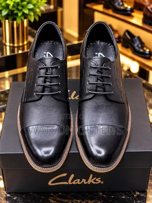 Clarks-2 Colored Design Men's Leather Shoes