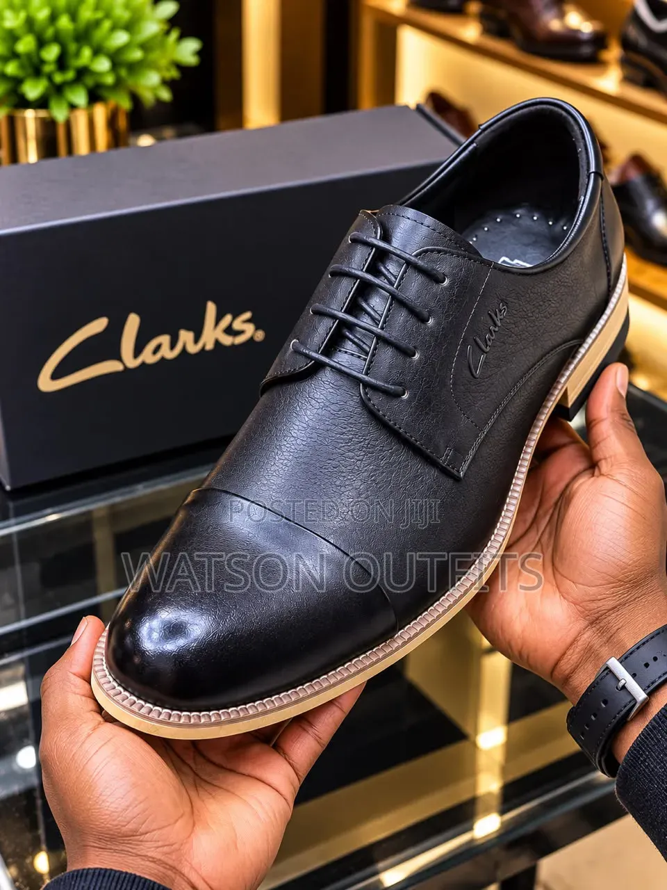 Clarks-2 Colored Design Men's Leather Shoes