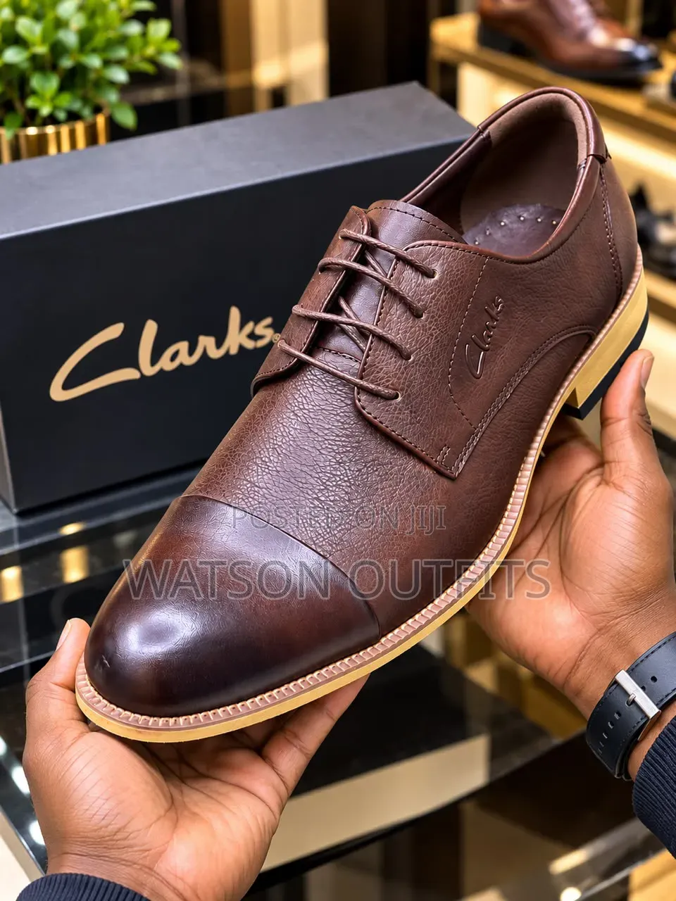 Clarks-2 Colored Design Men's Leather Shoes