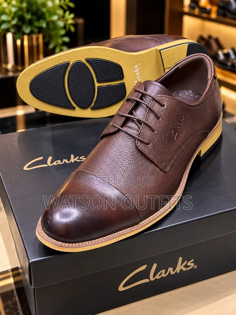 Clarks-2 Colored Design Men's Leather Shoes