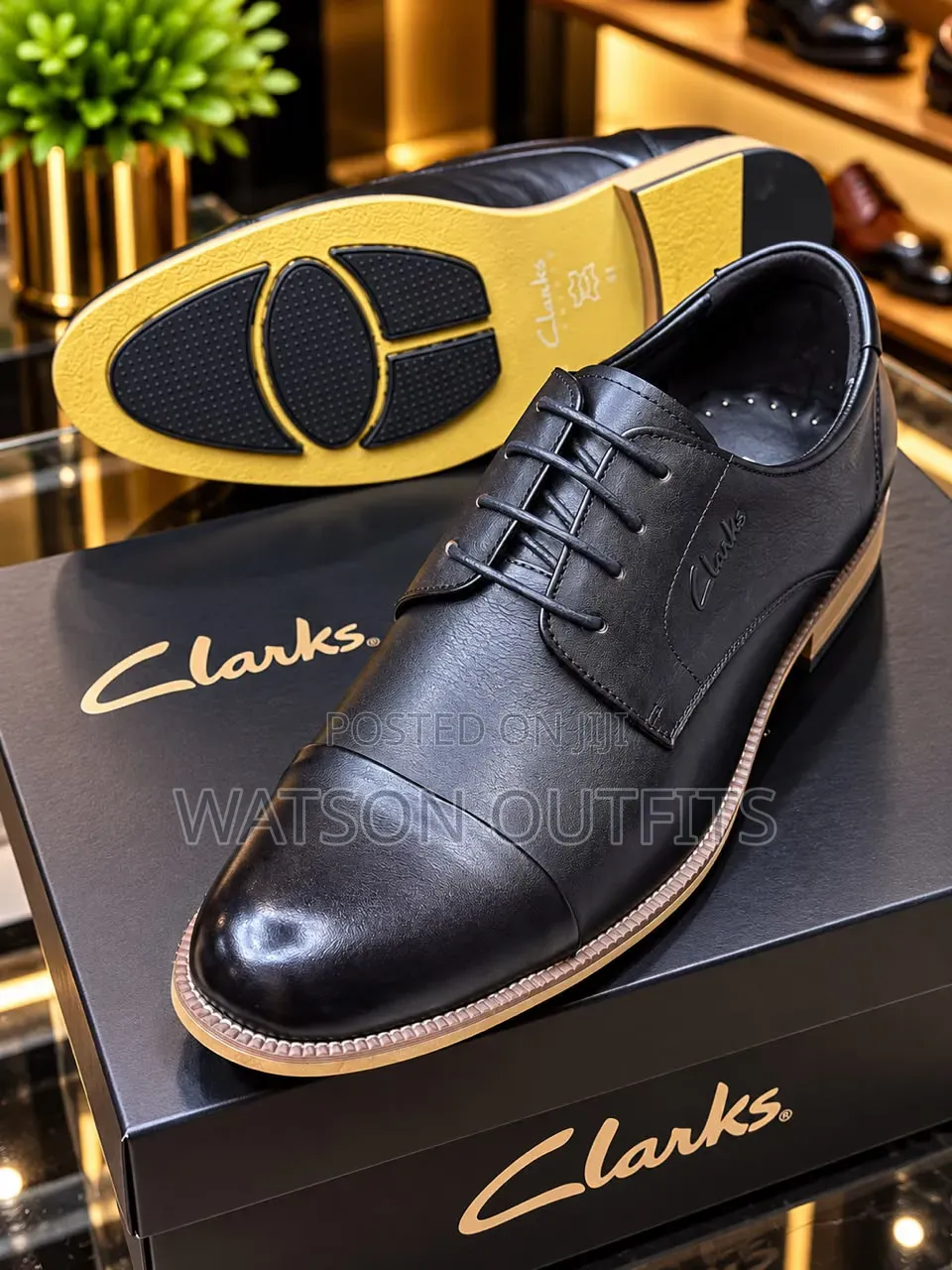 Clarks-2 Colored Design Men's Leather Shoes