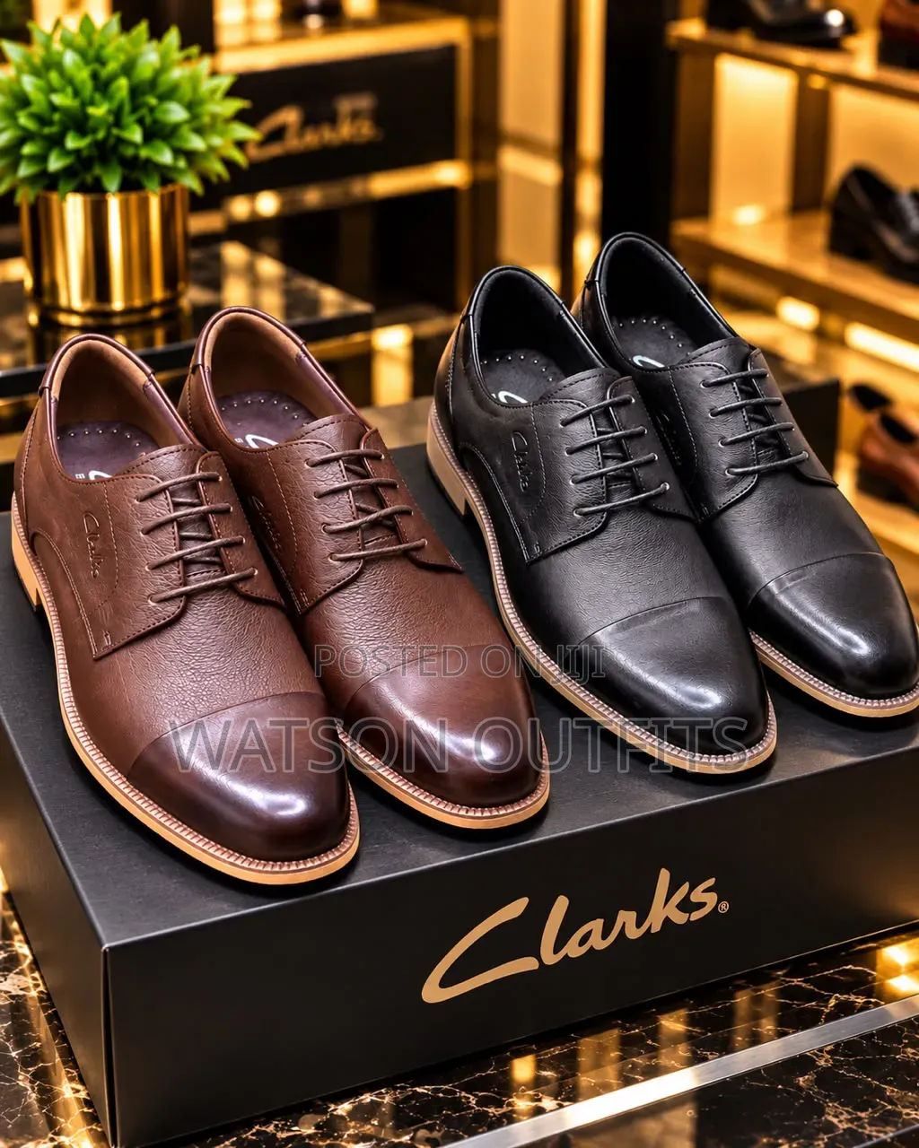 Clarks-2 Colored Design Men's Leather Shoes
