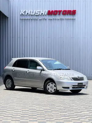 Toyota Corolla RunX 2001 Silver