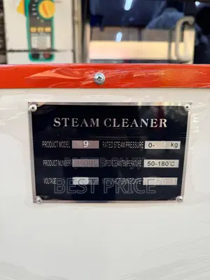 V-King Automatic Steam Cleaner Model 9