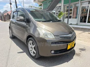 Toyota Ractis 1.5 AWD 2007 Gray