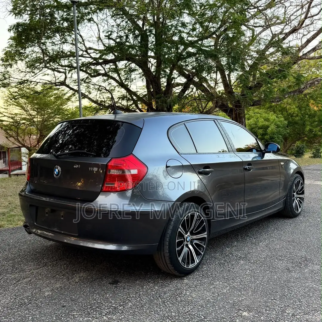 BMW 1 Series 2010 Gray