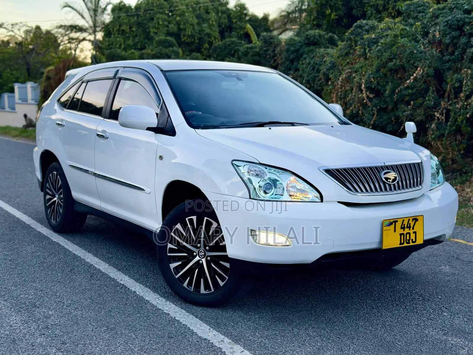 Toyota Harrier 2006 Pearl