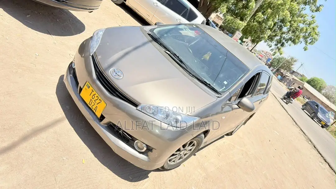 Toyota Wish 2007 Gray
