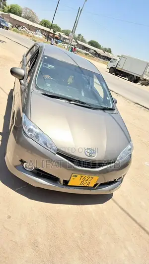 Toyota Wish 2007 Gray