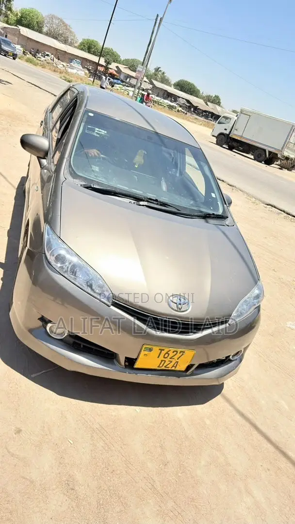Toyota Wish 2007 Gray
