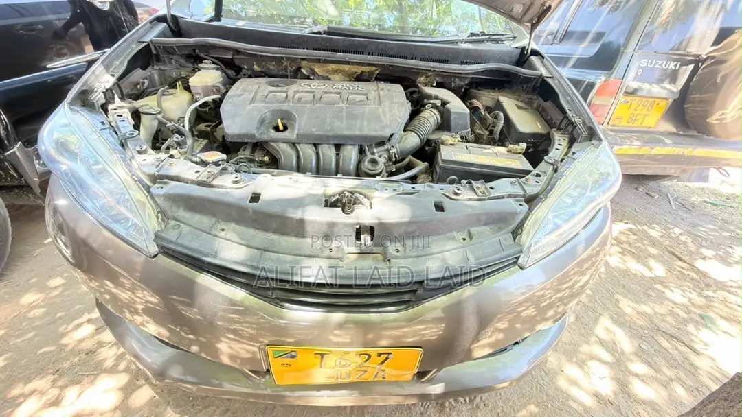 Toyota Wish 2007 Gray