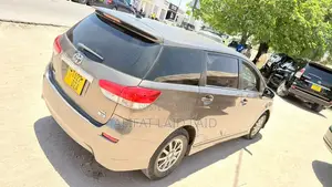 Toyota Wish 2007 Gray