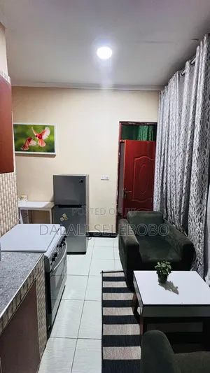 Furnished Mini Flat in Makumbusho Bus Stop, Kijitonyama for rent
