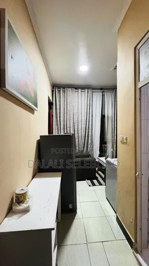 Furnished Mini Flat in Makumbusho Bus Stop, Kijitonyama for rent