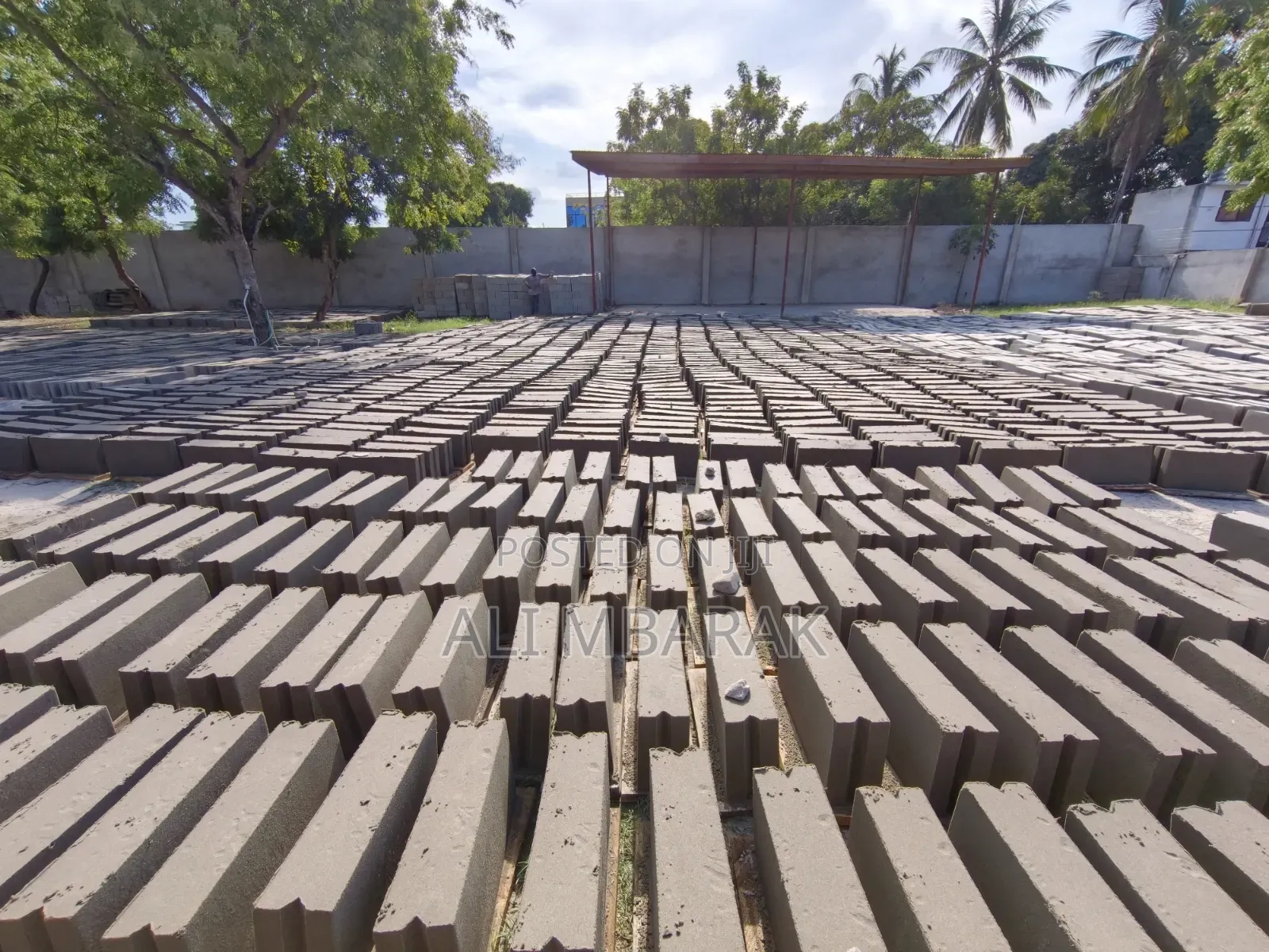 Cement Bricks / Blocks