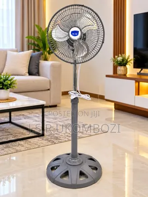 *Mr Uk Fan Chuma*
- Size 10
-