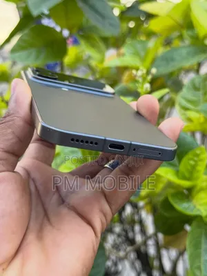 Xiaomi 17 Pro Max 1 TB