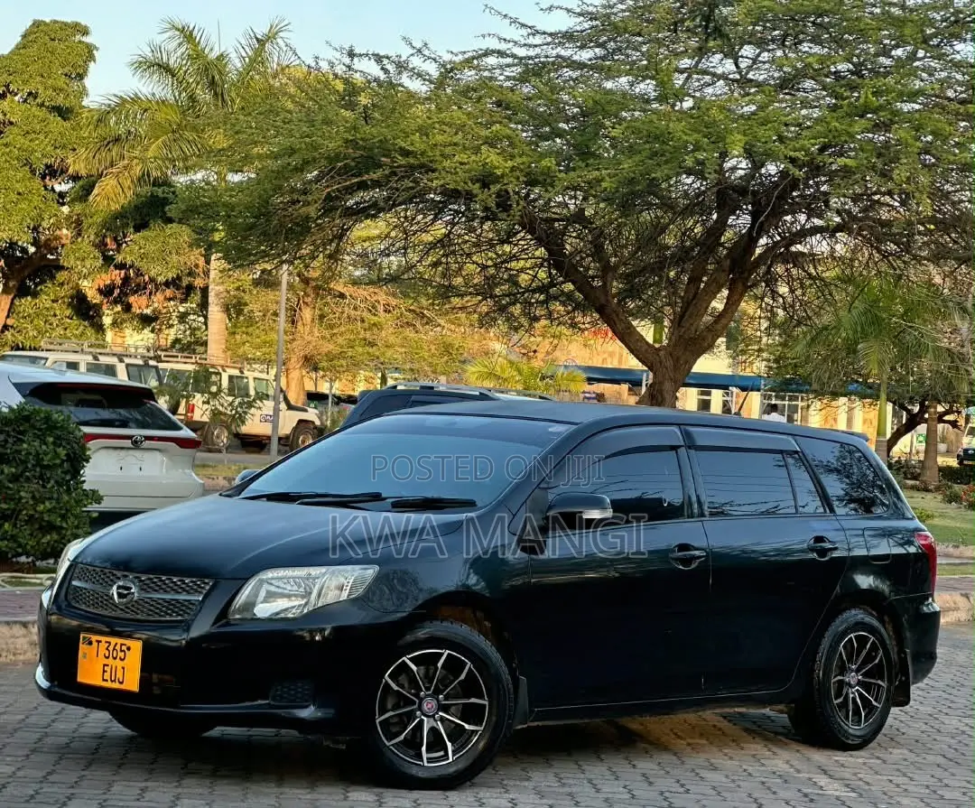 Toyota Corolla Fielder 2008 Black
