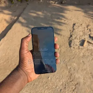 Apple iPhone 12 Pro Max 256 GB Black