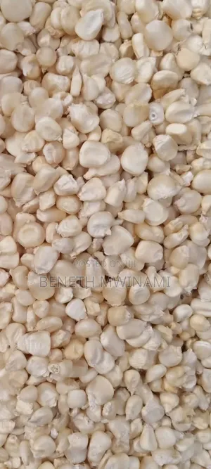 Mahindi Makavu Yanauzwa