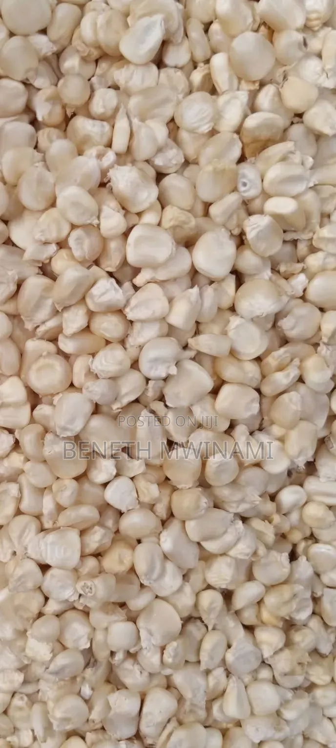 Mahindi Makavu Yanauzwa