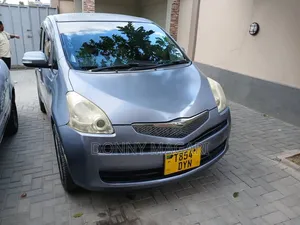 Toyota Ractis 2008 Gray
