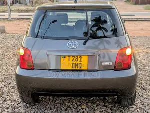 Toyota IST 2004 Gray