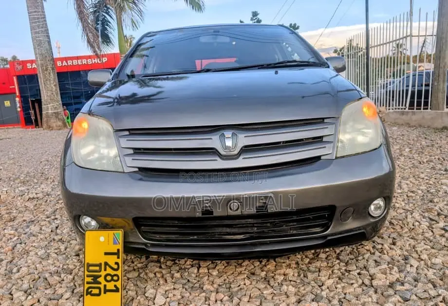 Toyota IST 2004 Gray