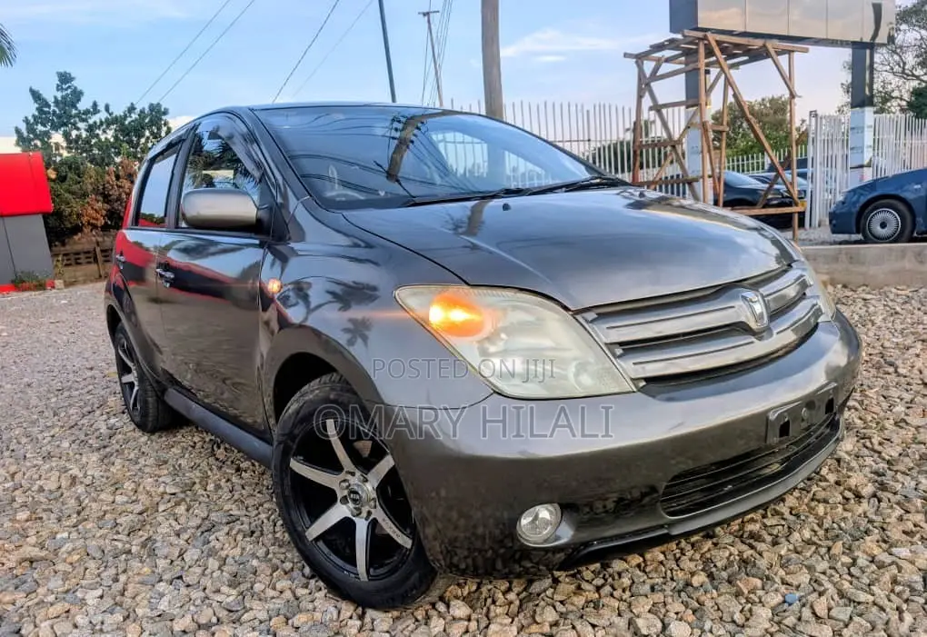 Toyota IST 2004 Gray