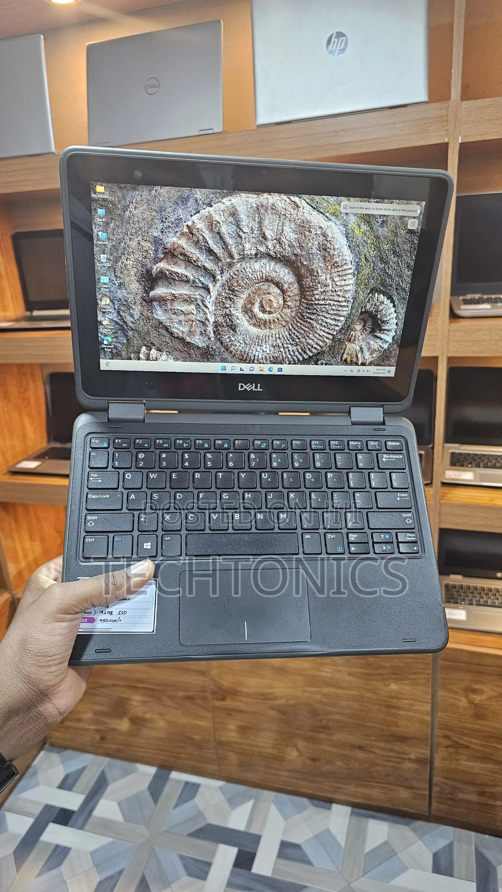 Laptop Dell Latitude 11 3190 4GB Intel Celeron SSD 160GB