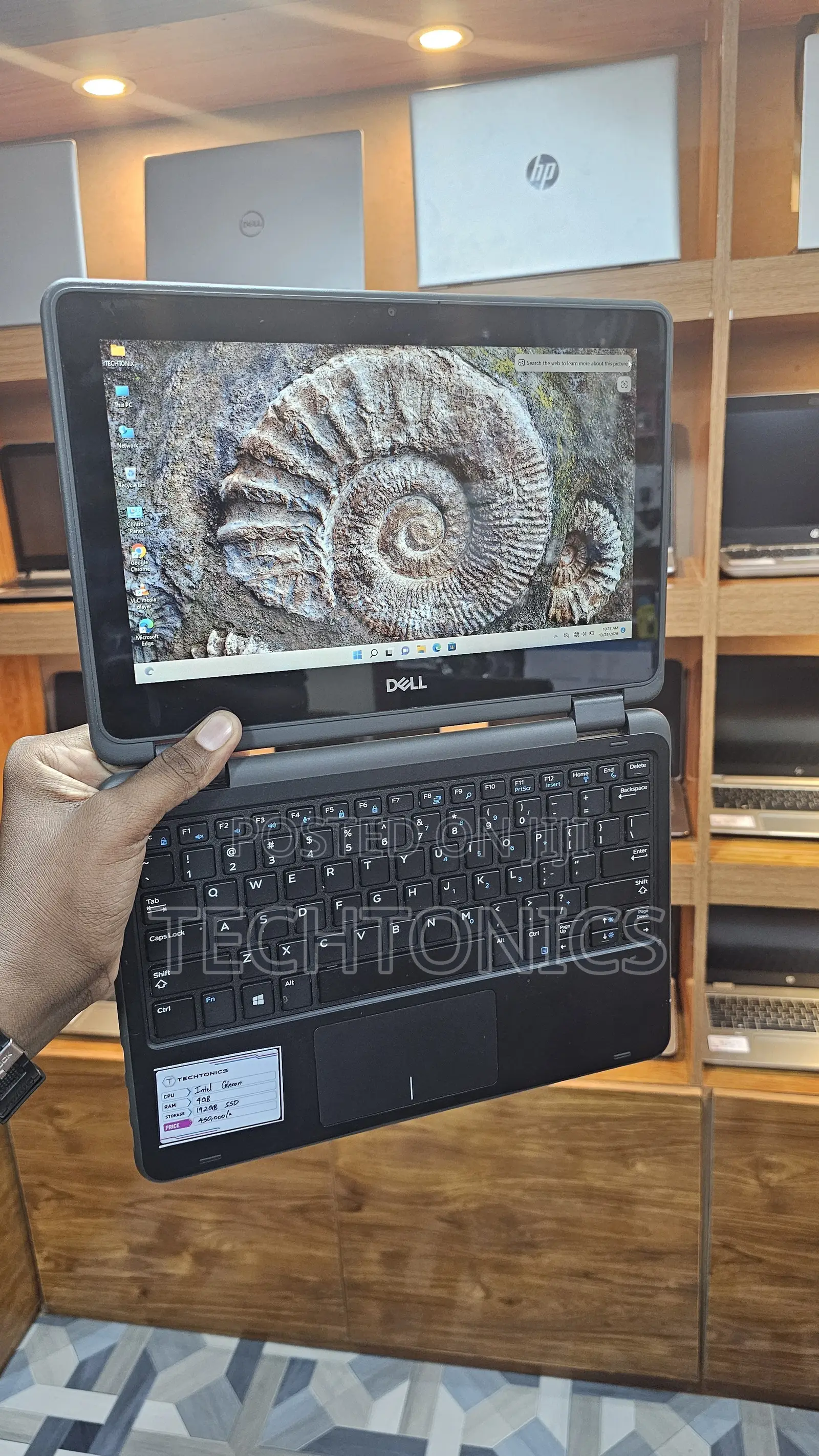 Laptop Dell Latitude 11 3190 4GB Intel Celeron SSD 160GB