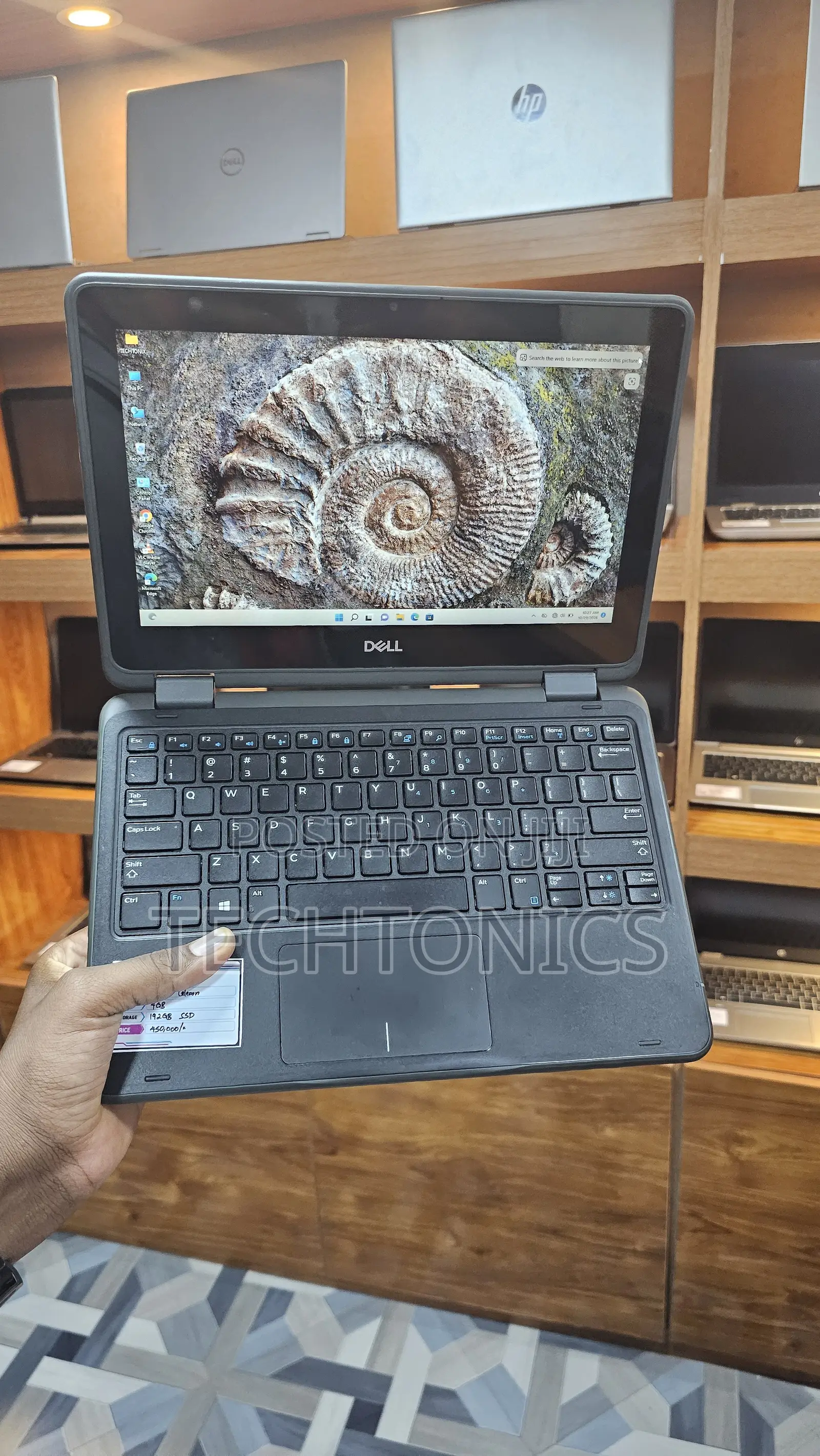 Laptop Dell Latitude 11 3190 4GB Intel Celeron SSD 160GB