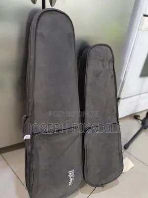 Violin Case