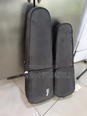 Violin Case