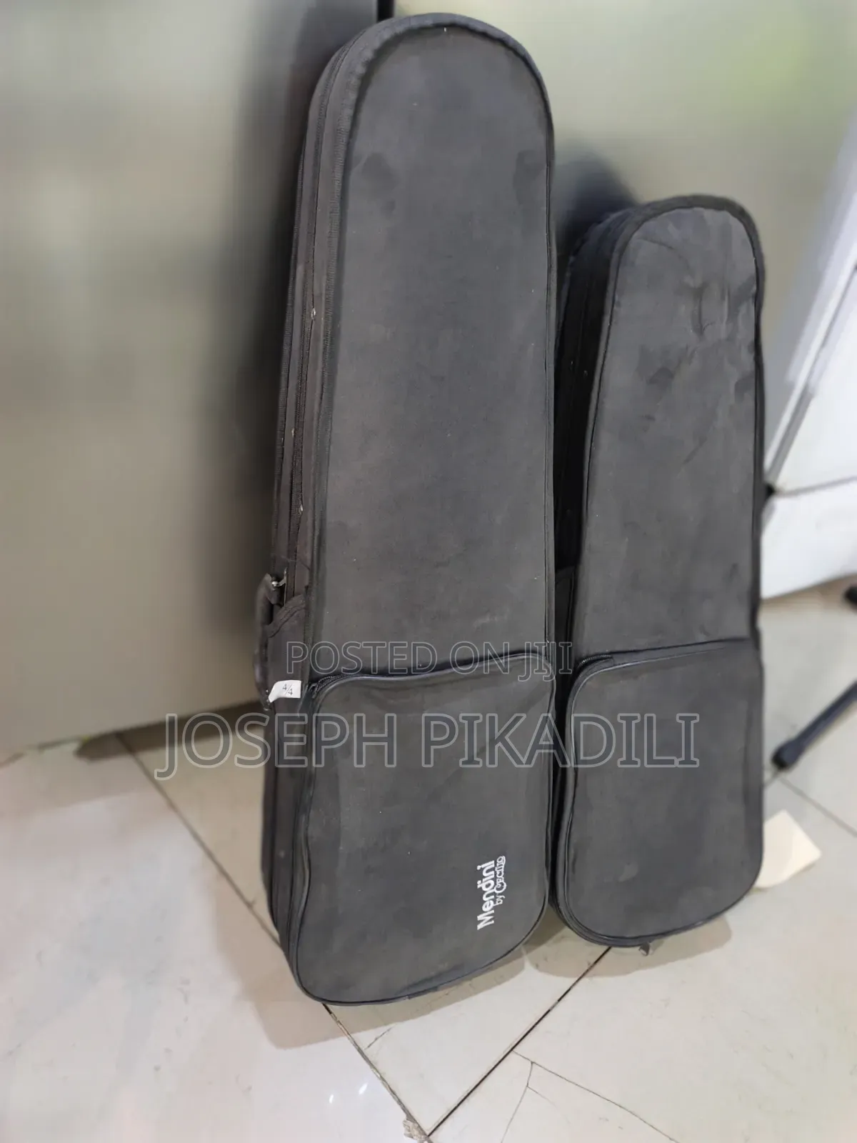 Violin Case