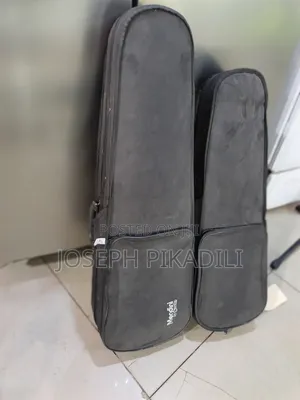Violin Case