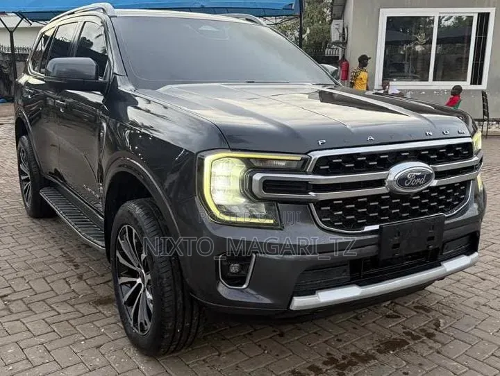 Ford Everest 2025 Gray