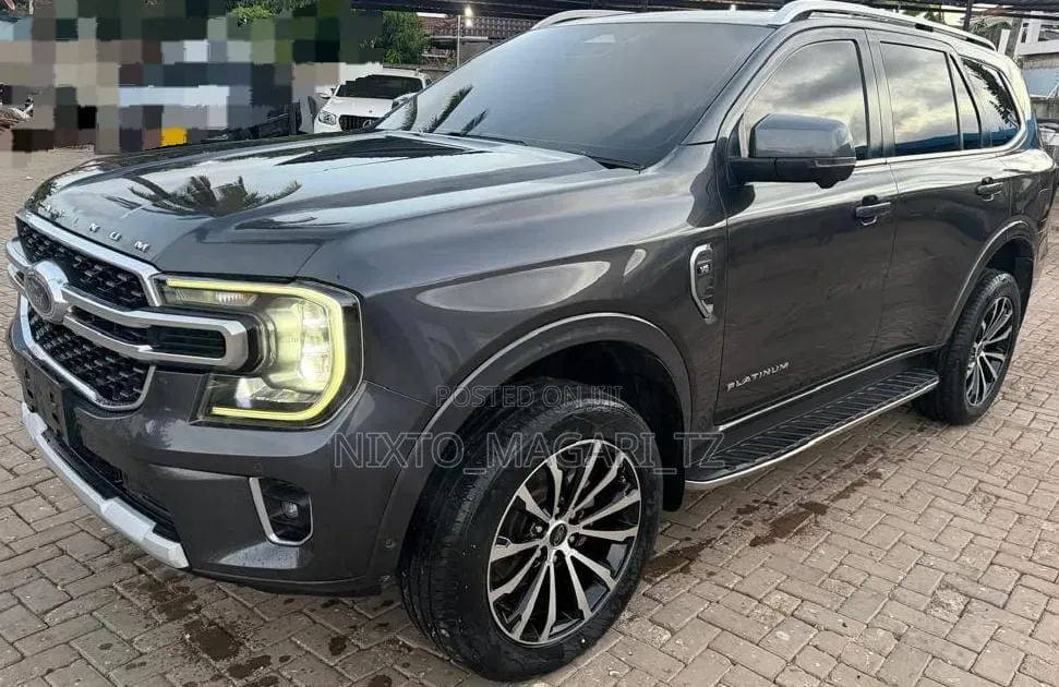 Ford Everest 2025 Gray