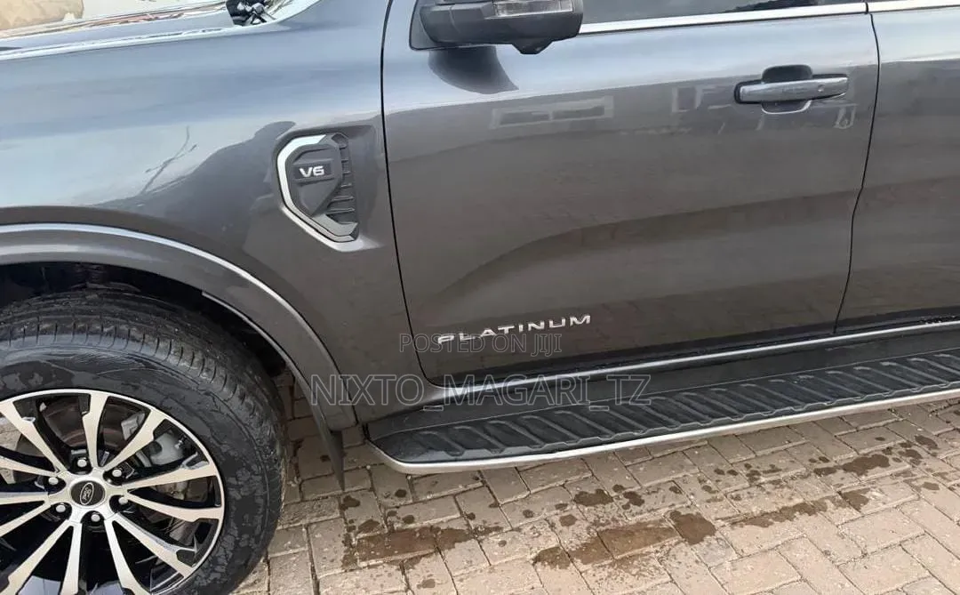 Ford Everest 2025 Gray