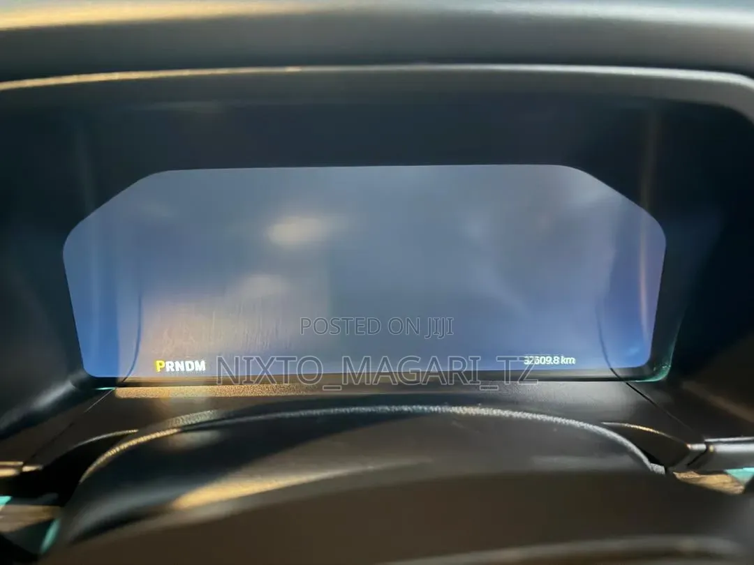 Ford Everest 2025 Gray