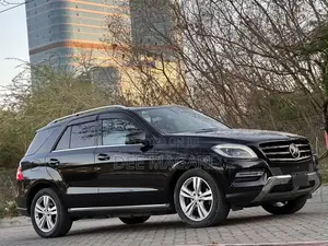 Mercedes-Benz M Class 2014 Black