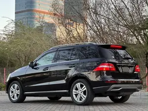 Mercedes-Benz M Class 2014 Black