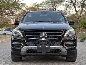 Mercedes-Benz M Class 2014 Black