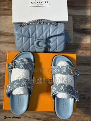 Coach Bags