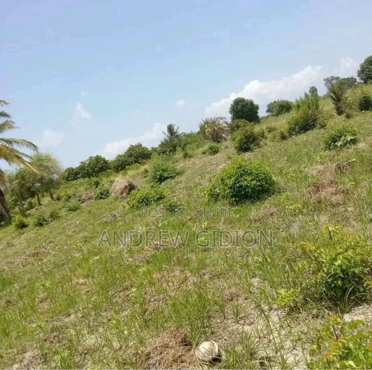 Kiwanja Dodoma Chinangali Kipo Chinangali