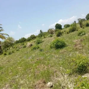 Kiwanja Dodoma Chinangali Kipo Chinangali