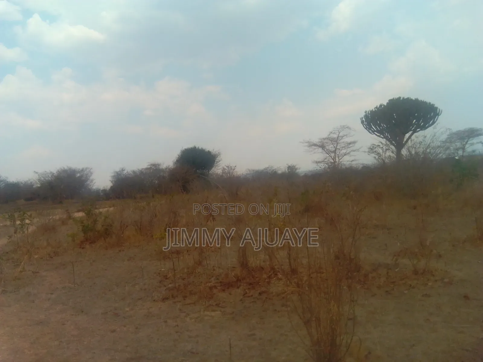 Shamba Linauzwa